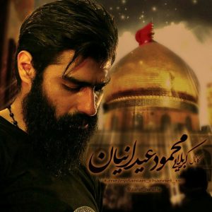 دلم بیتابه / تب دریا - کربلایی محمود عیدانیان 